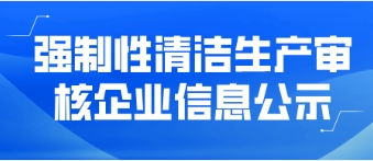 強(qiáng)制性清潔生產(chǎn)審核企業(yè)信息公示——武平偉明環(huán)保能源有限公司